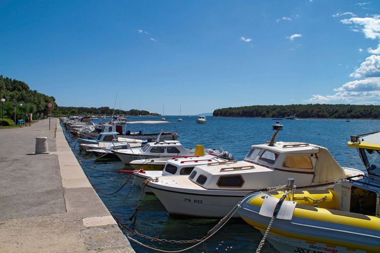 Punat port